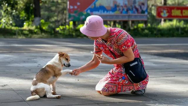 A dog owner kneeling beside a leashed dog outside a clinic entrance
