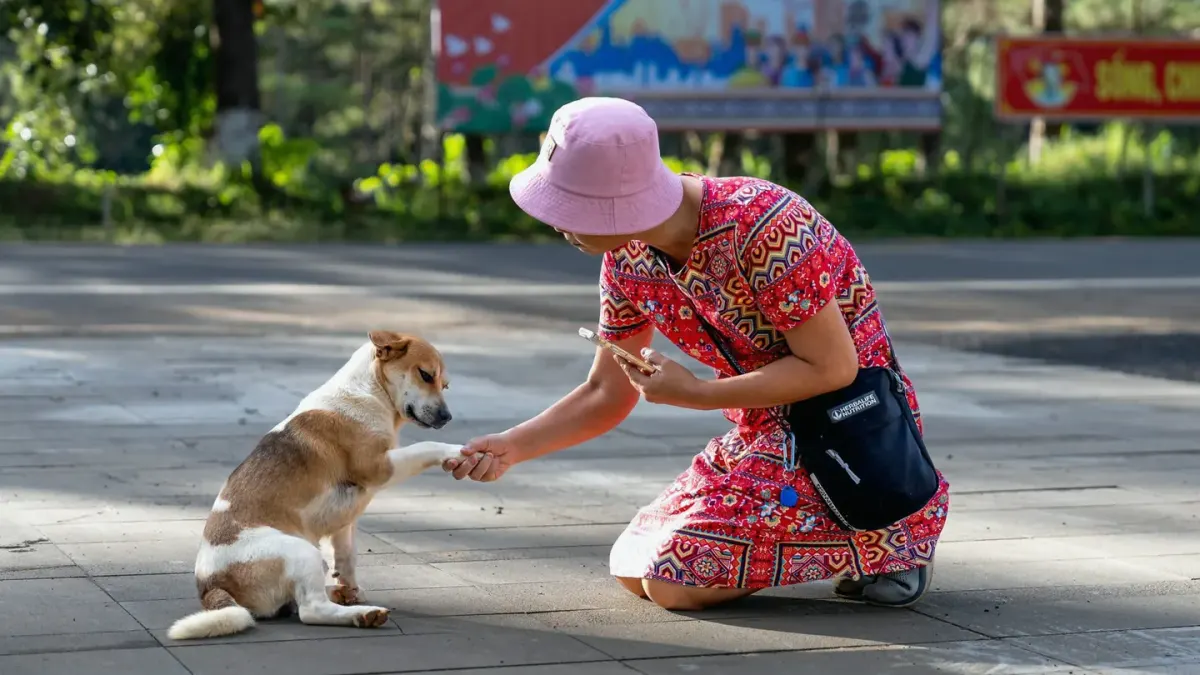 A dog owner kneeling beside a leashed dog outside a clinic entrance