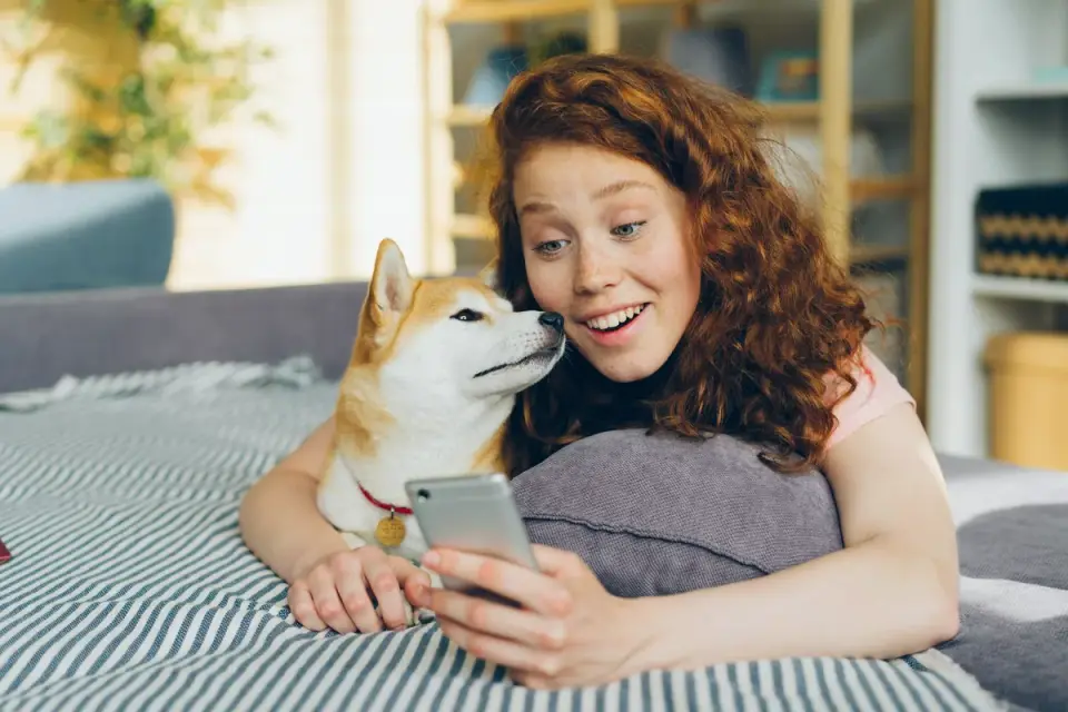 A dog owner looking at their phone near a worried-looking dog