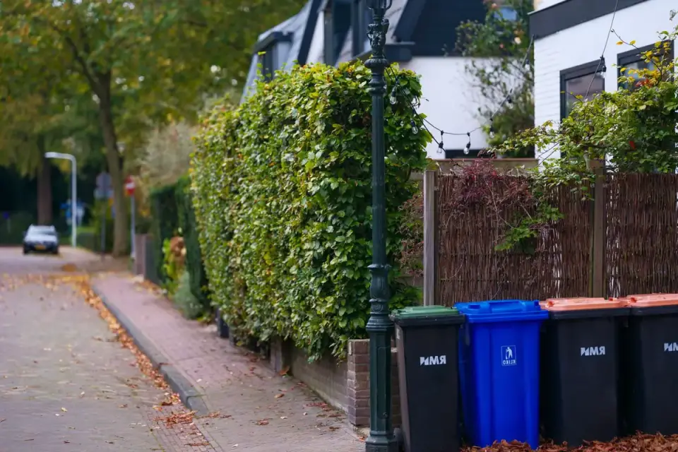 A garbage truck stopping to empty curbside bins along a quiet residential street
