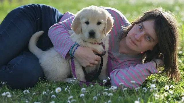 A golden retriever puppy sitting calmly next to its new owner on a living room floor