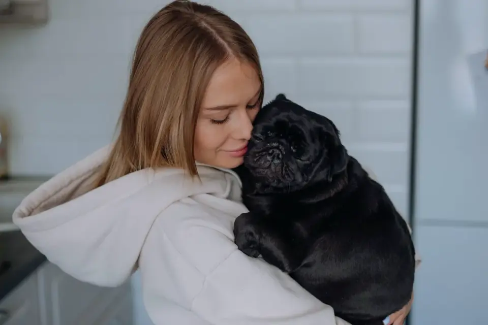 A pet owner reading the ingredient label on a dog supplement chew