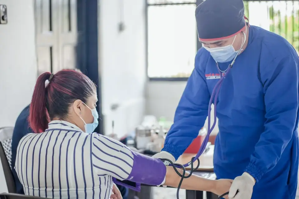 A veterinarian assessing a senior dog&#x27;s gait in an exam room