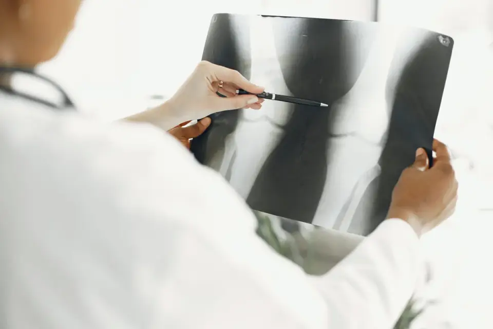 A veterinarian checking hind-limb reflexes and paw placement during a neurologic exam