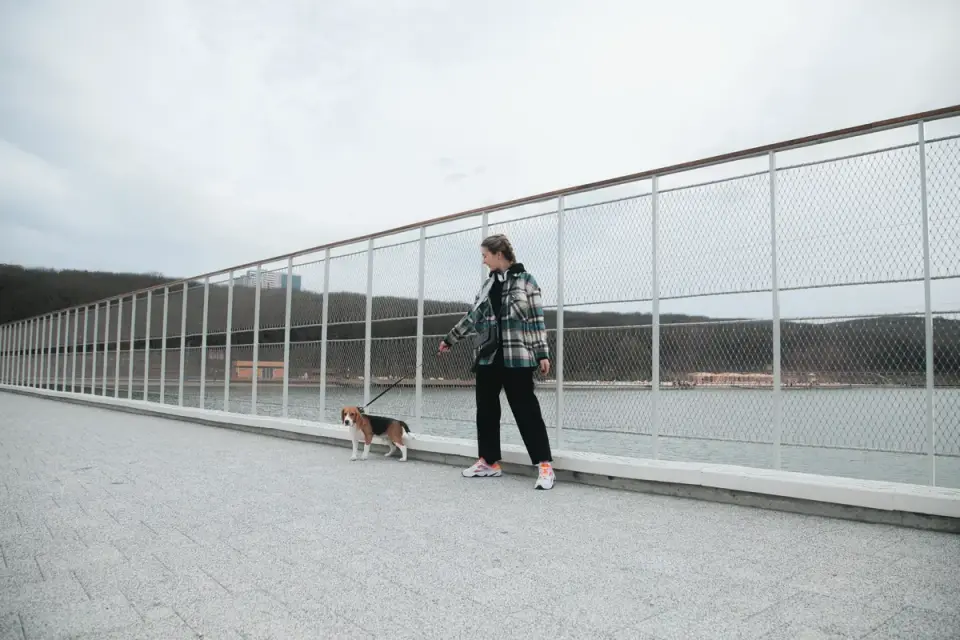 A woman walking toward a door while her dog waits calmly a few feet away