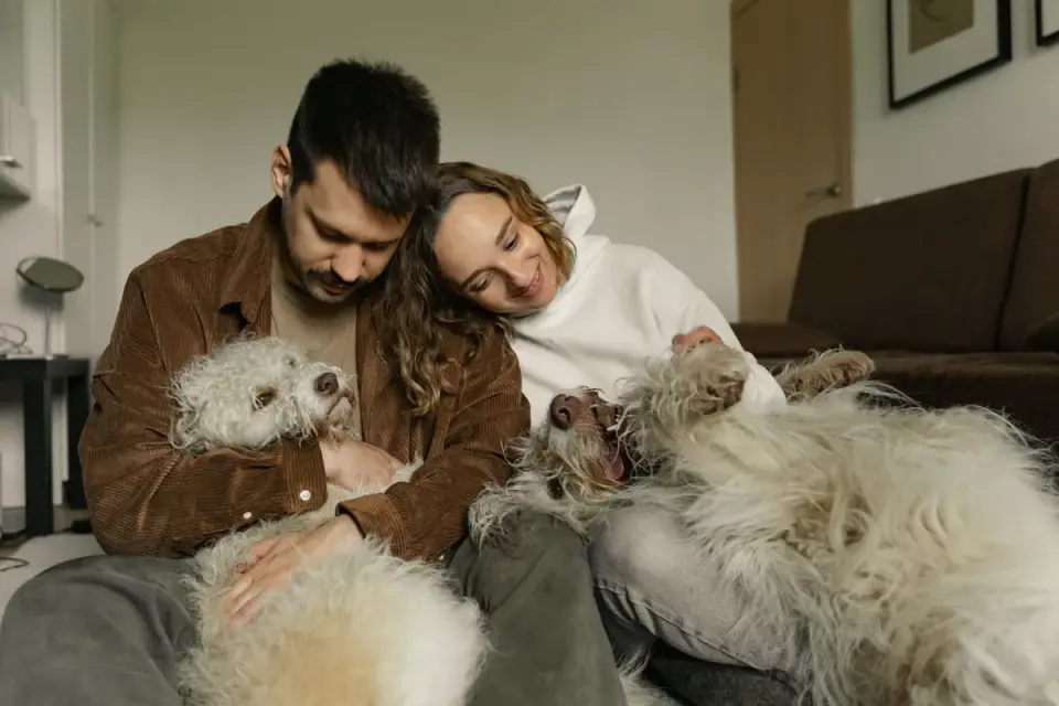 An owner gently checking an older dog&#x27;s hind leg while the dog rests on a rug