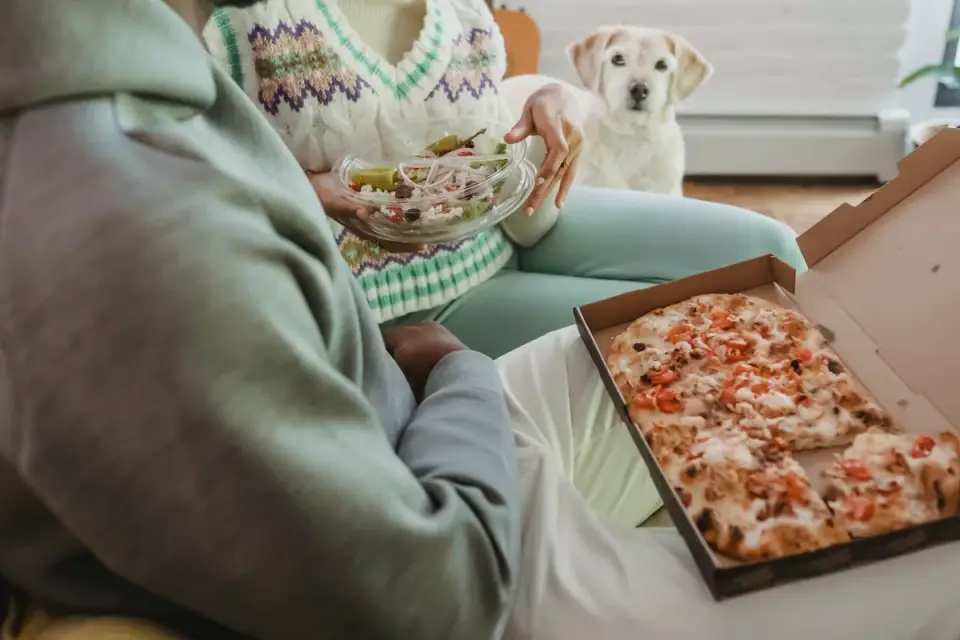 Dog eating from a bowl