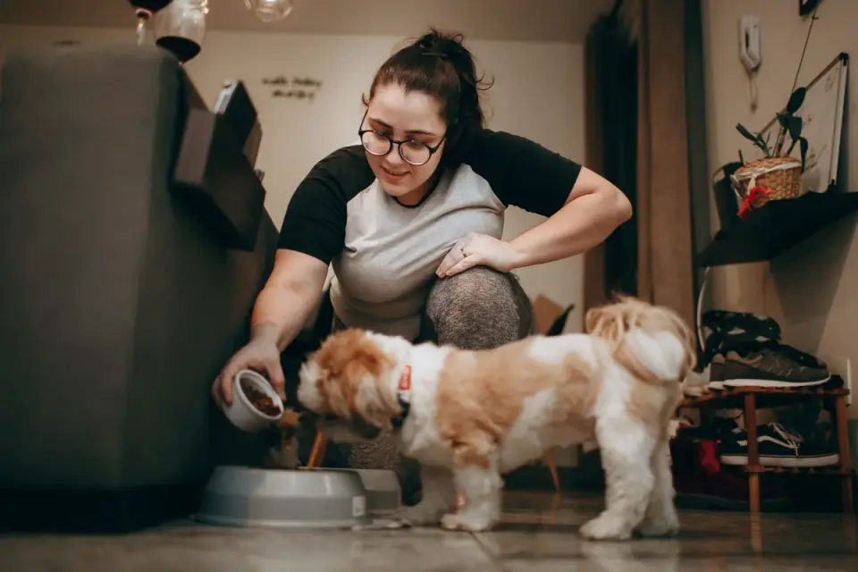Dog eating from a bowl