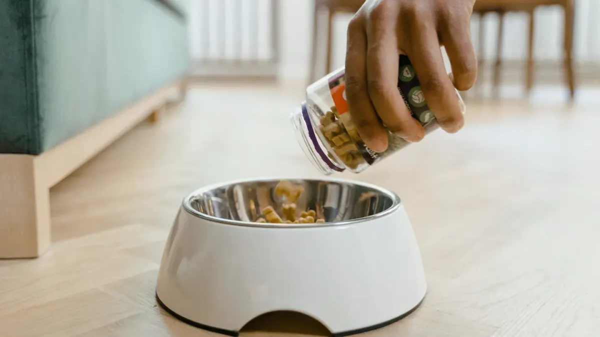 Dog eating from a bowl
