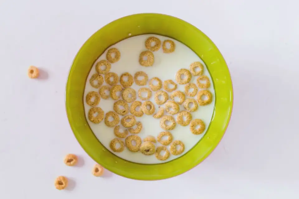 Dog eating from bowl at home