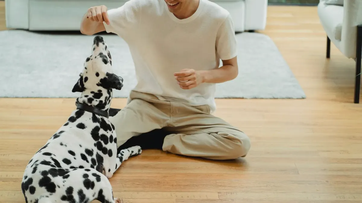 Dog eating from bowl at home