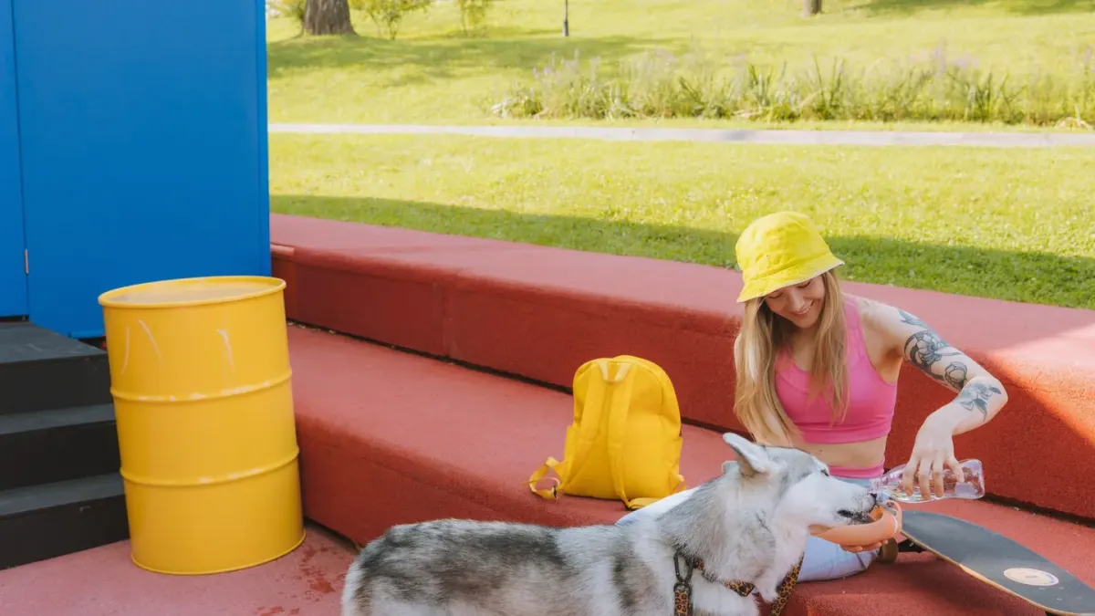Dog eating outdoors bowl
