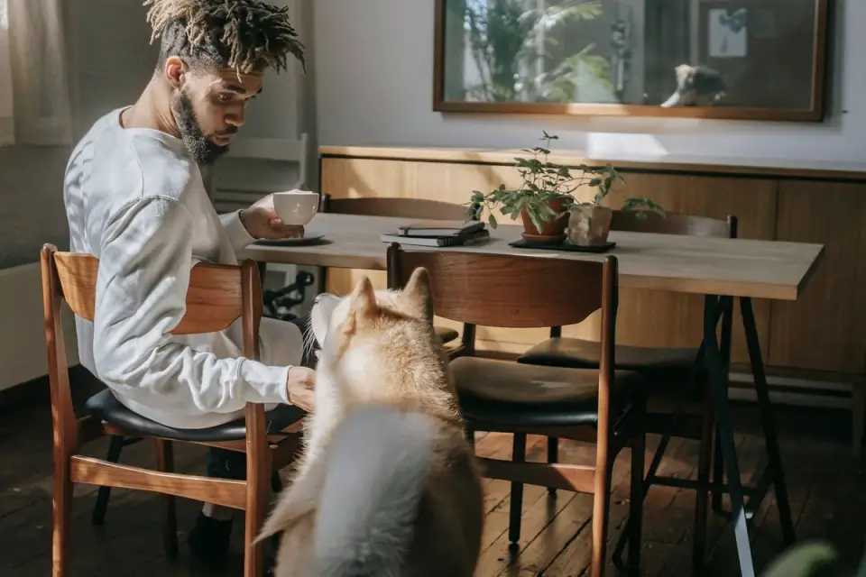 Dog in kitchen with owner