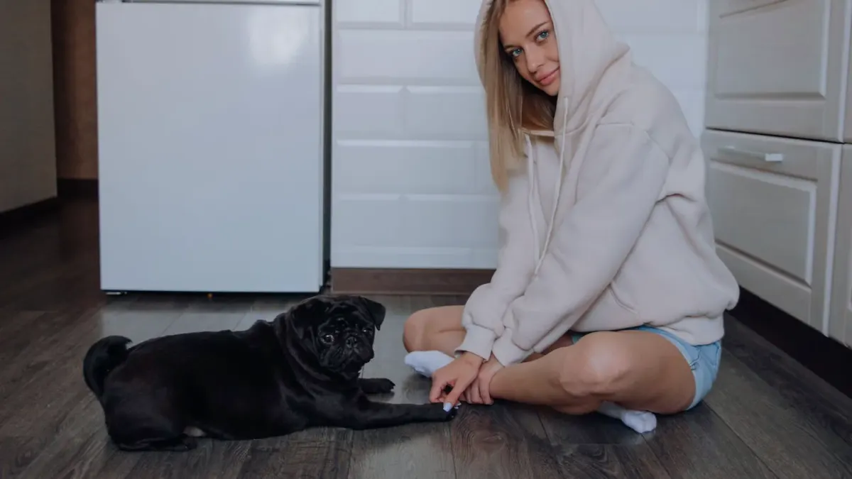 Dog in kitchen with owner