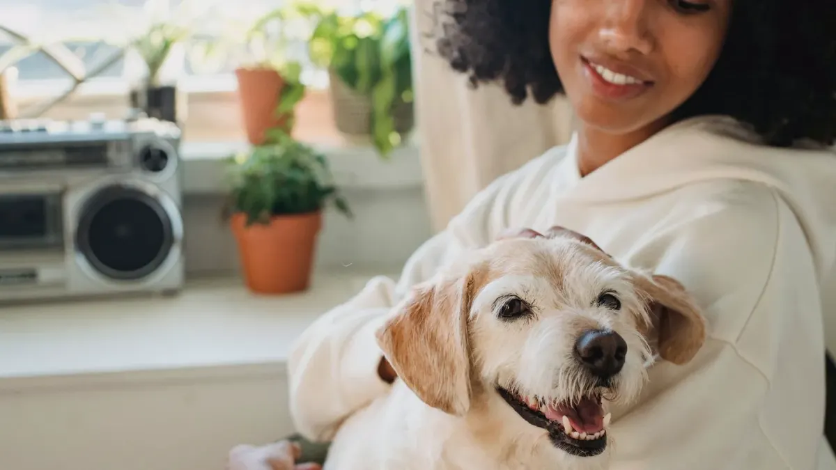Dog in kitchen with owner