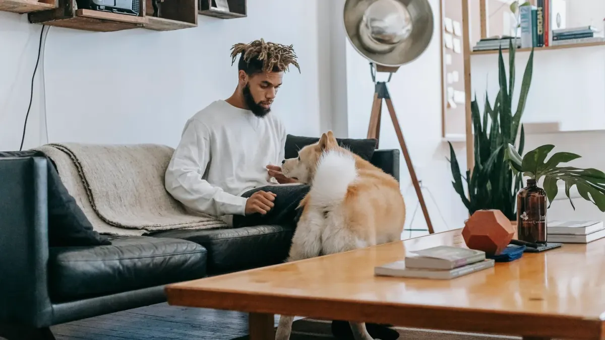 Dog in kitchen with owner