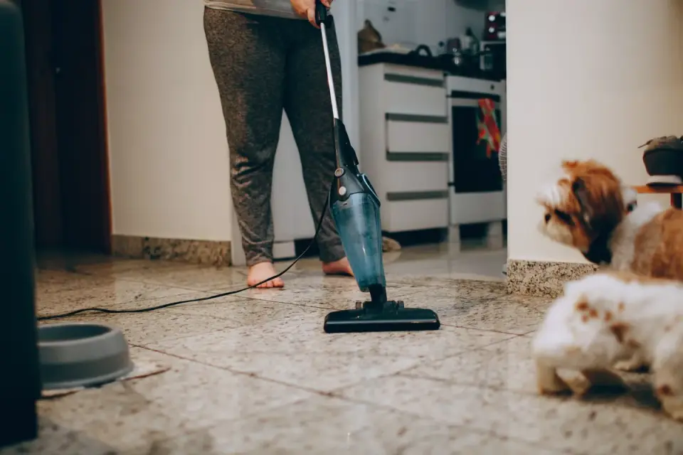 Dog in kitchen with owner