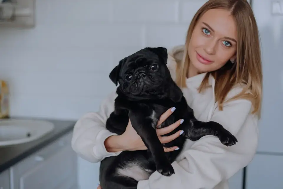 Dog in kitchen with owner