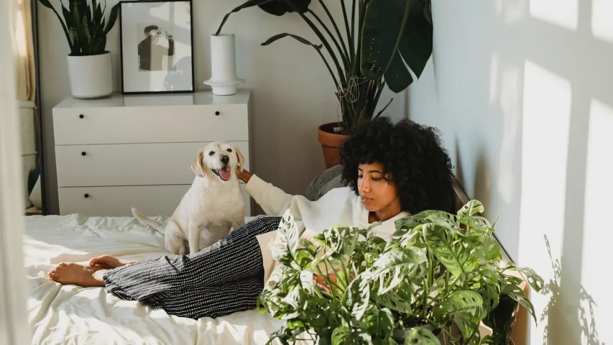 Dog owner home