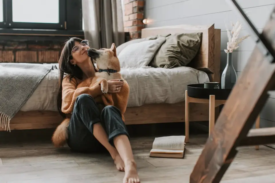 Dog owner home