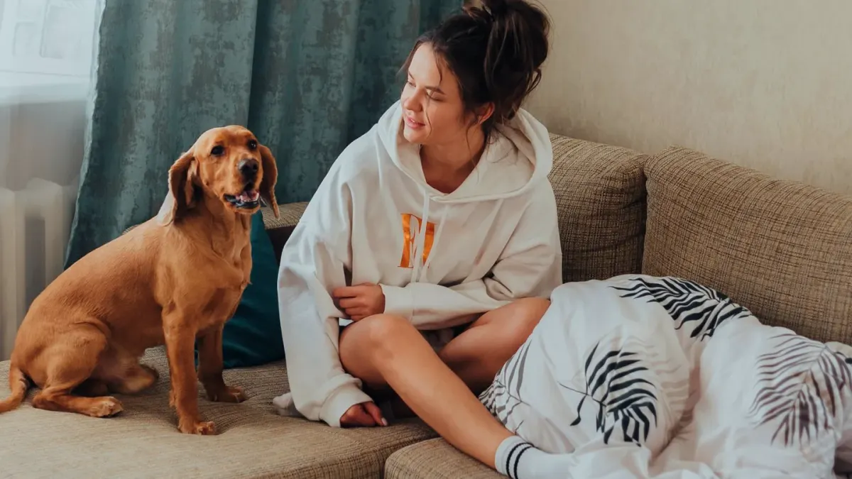 Dog resting beside an owner