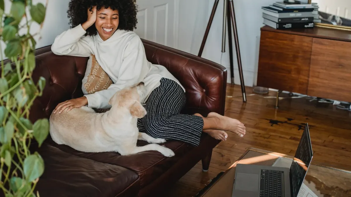 Dog resting with owner living room
