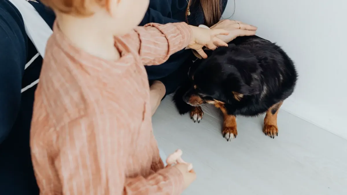 Dog standing up