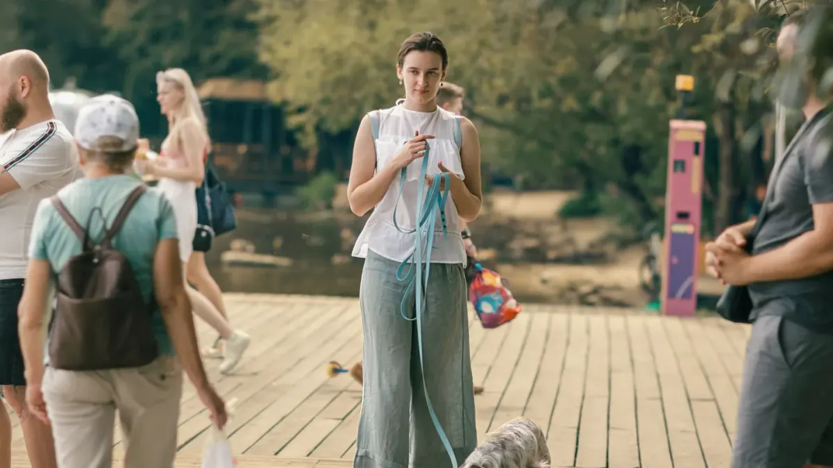 Dog walking outdoors