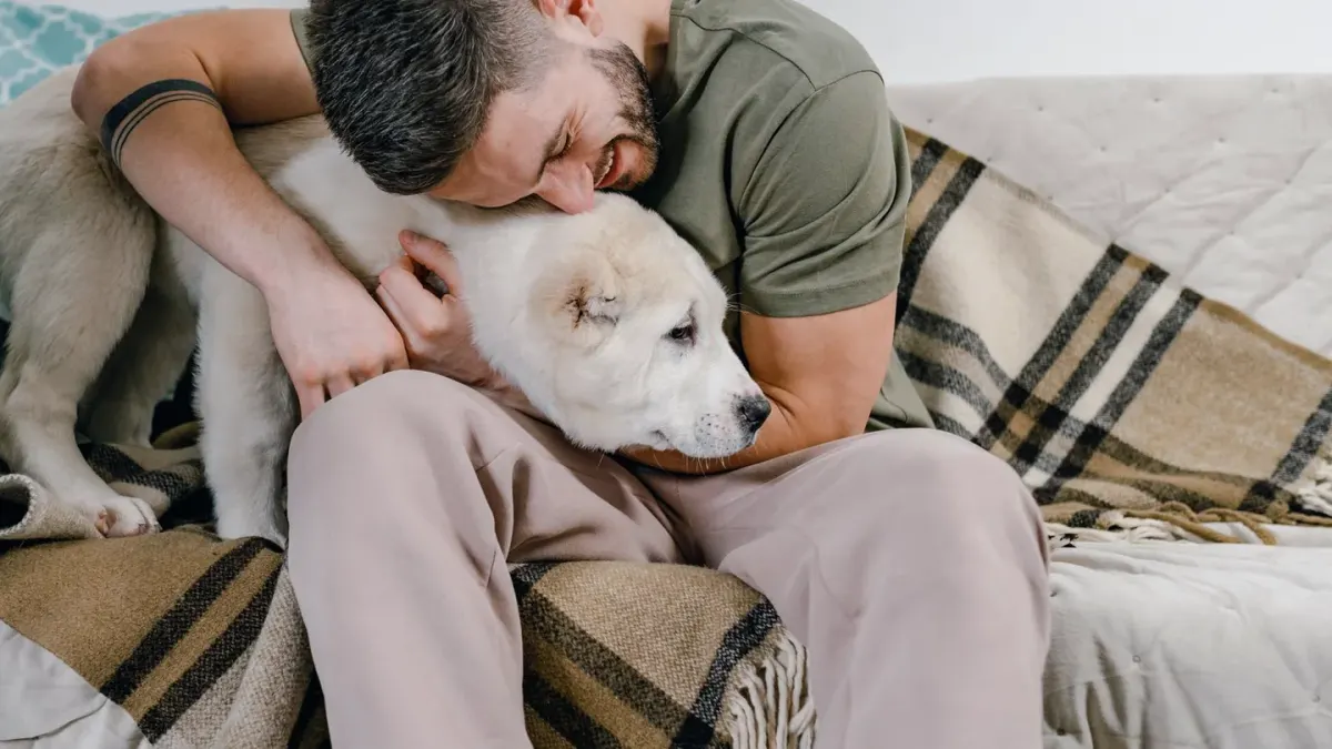 Dog with an owner at home