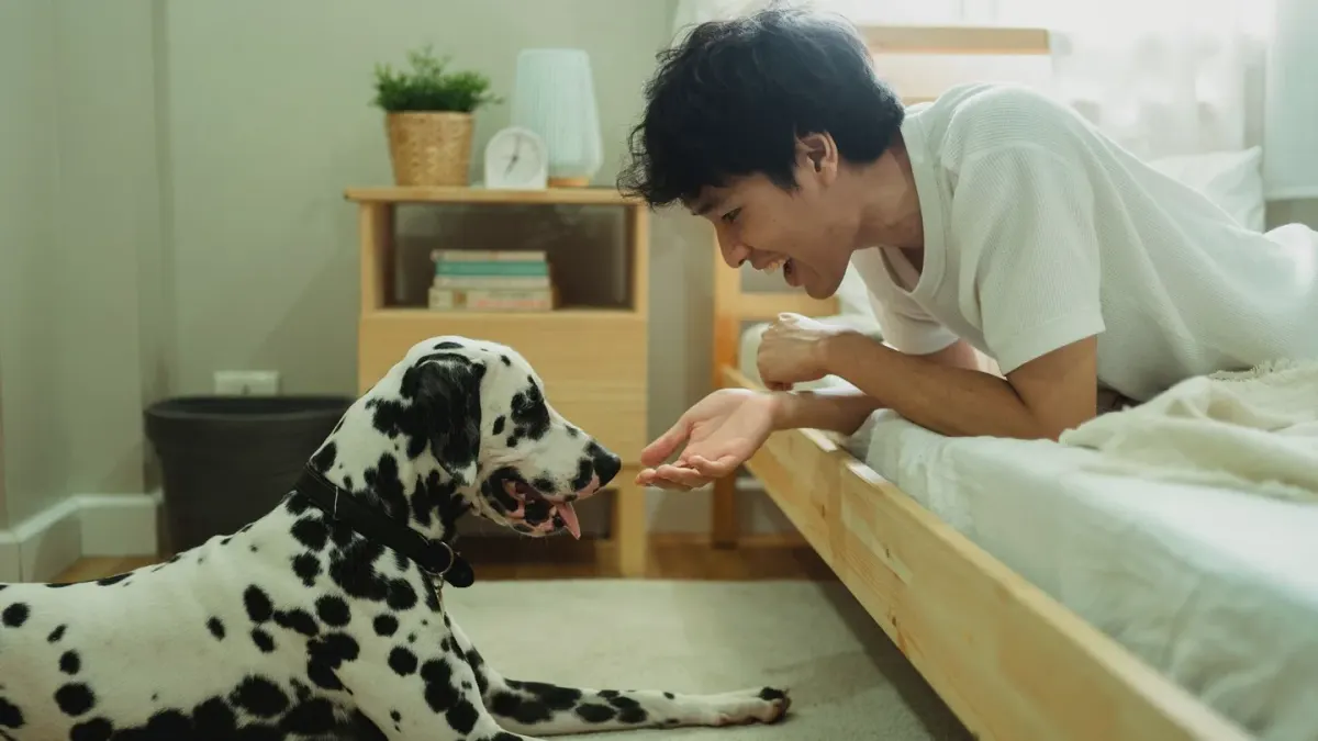 Dog with an owner at home
