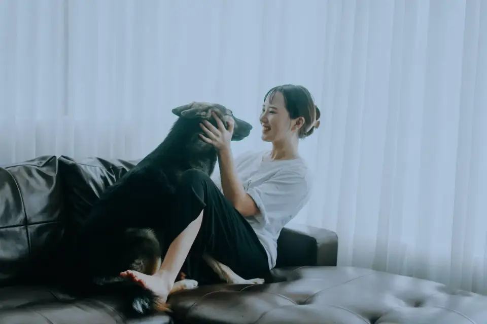 Dog with an owner at home