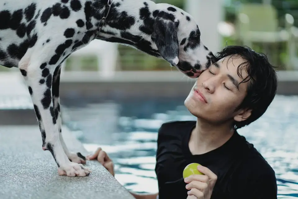 Dog with an owner at home