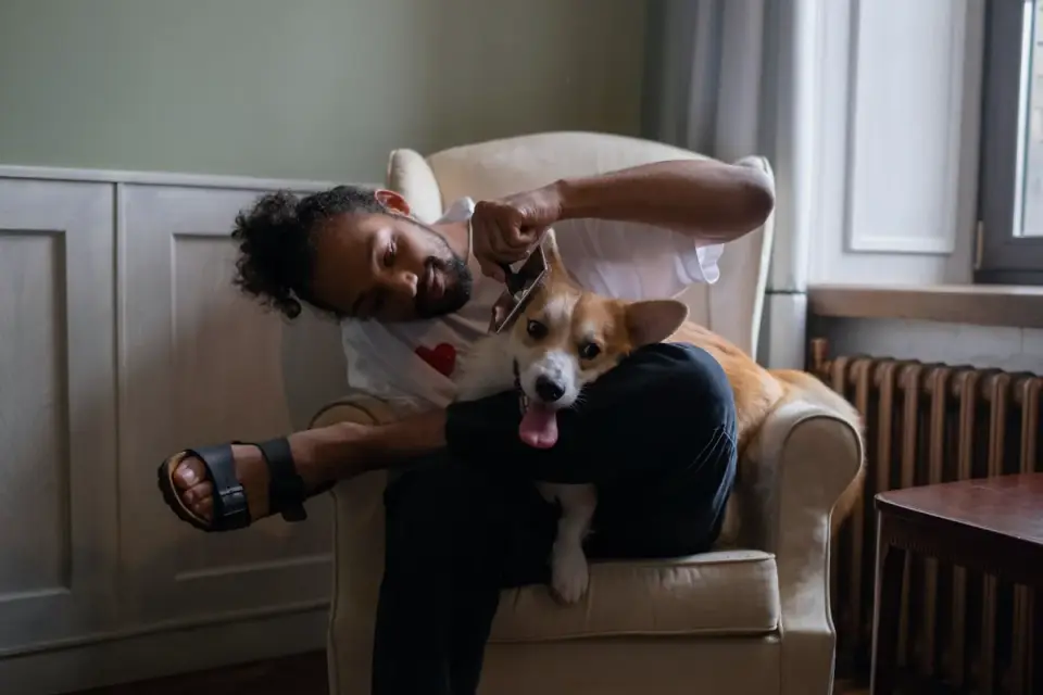 Dog with an owner at home