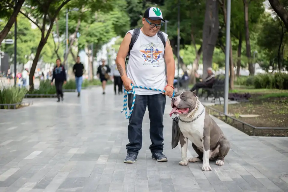Older dog owner park