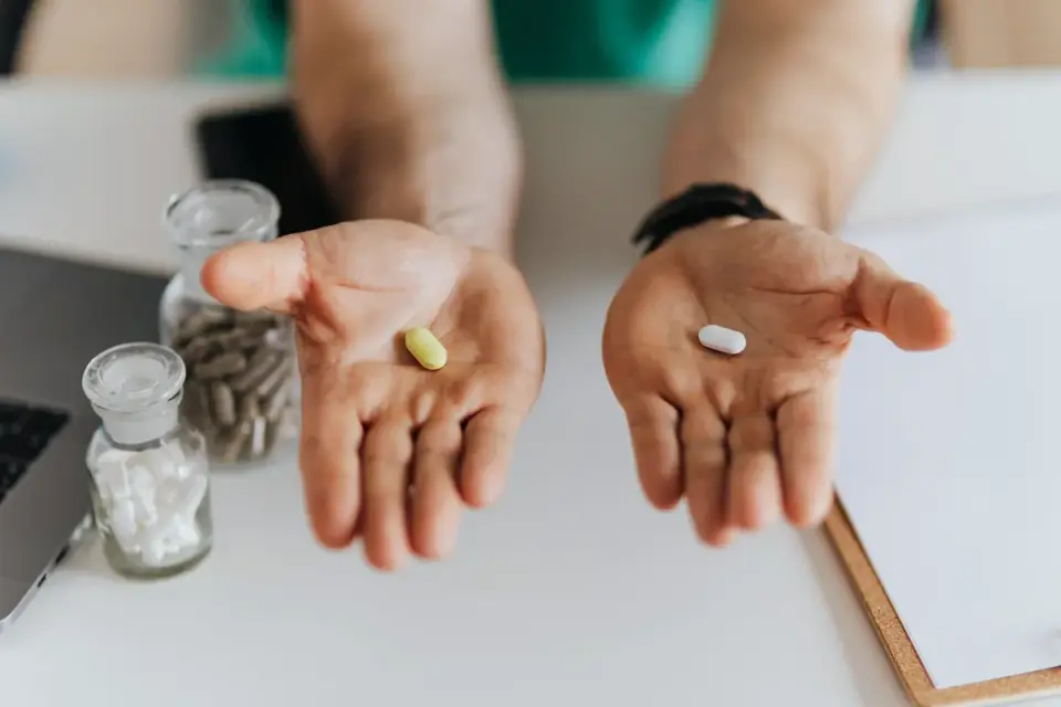 Owner comparing two dog supplement bottles side by side at a kitchen table