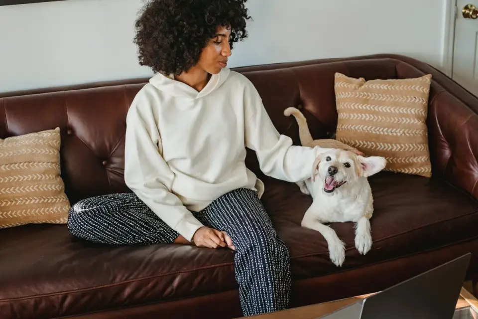 Owner offering a soft chew to a relaxed dog on a couch