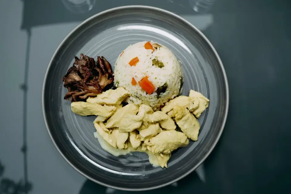 Small pieces of plain cooked chicken breast in a dog's bowl
