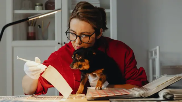 Veterinarian examining a supplement bottle label next to a dog on an exam table